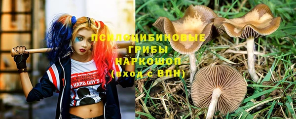 каннабис Армянск